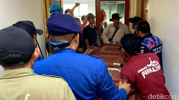 Proses evakuasi macan tutul di hotel Bandung