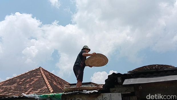 Proses penjemuran kerupuk ikan sarden di Palembang.