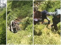 Pulang dari Resepsi Nikahan, Minibus Isi 13 Orang Terjun ke Jurang