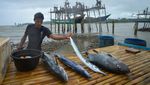 Transformasi Desa Terpencil di Pulau Obi