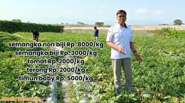 Pemerintah Desa Demakijo, Klaten, menggelar wisata petik buah. Acara dihelat 2 hari mulai besok (7/10) dan Rabu (8/10). Foto diunggah Senin (6/10/2025).
