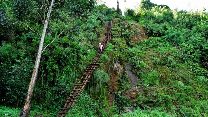 Ugandan nurse Agnes Nambozo, carries a box of medical supplies as she walks to climb a nondescript wooden ladder during her community immunisation outreach programme in Mushelusi village in Bulambuli district, Uganda September 10, 2025. REUTERS/Abubaker Lubowa