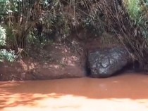 Video: Melihat Batu Mirip Ular Raksasa yang Viral di Thailand