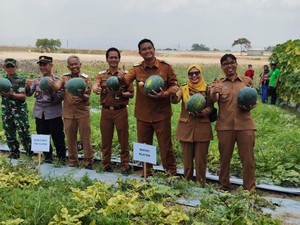 Buka Perdana, Wisata Petik Buah di Demakijo Klaten Dibanjiri Warga