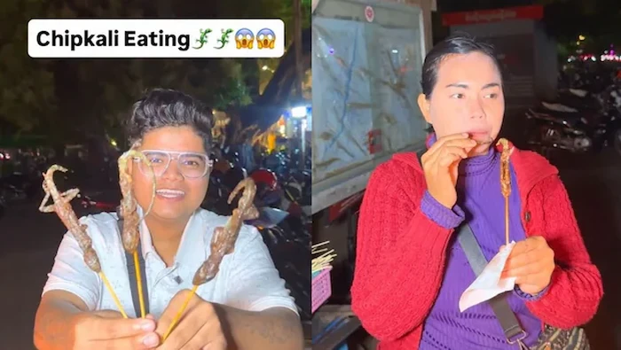 **Cicipi Kelezatan Cicak Goreng dari Kamboja, Hanya Rp 8 Ribu!**
