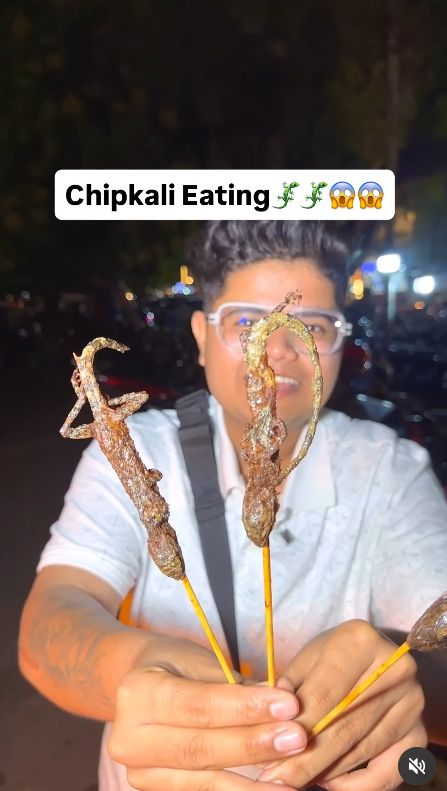 Negara Ini Punya Camilan Ekstrem Cicak Goreng, Harganya Rp 8 Ribu!