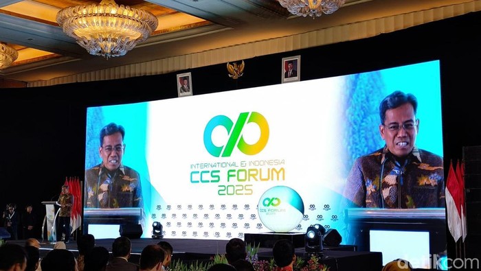 Deputi Bidang Promosi Penanaman Modal Kementerian Investasi dan Hilirisasi/BKPM, Nurul Ichwan