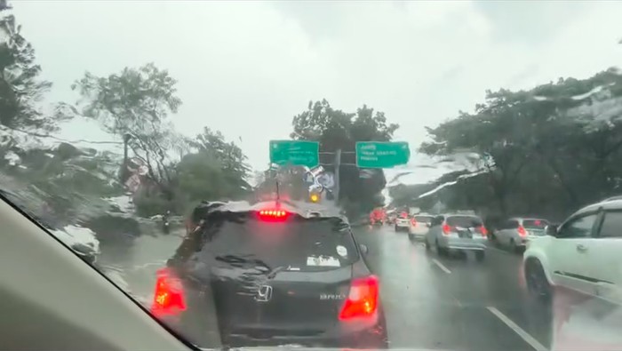 Hujan deras disertai angin kencang di Tangsel menyebabkan sejumlah pohon tumbang. Lalu lintas pun terdampak, apalagi juga terjadi jalan tergenang banjir. (dok Pribadi/Han SH)