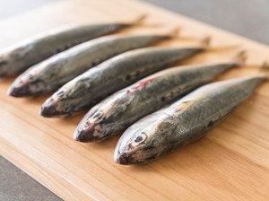 Beda Nutrisi Salmon dan Ikan kembung hingga Tempat Makan Coto Makassar di Jaksel
