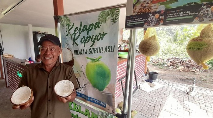 Kelapa kopyor di Semuten, Jatimulyo, Dlingo, Bantul, Selasa (7/10/2025).