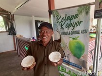Segarnya Cuan Kelapa Kopyor di Bantul, Sebulan Omzet Belasan Juta Rupiah