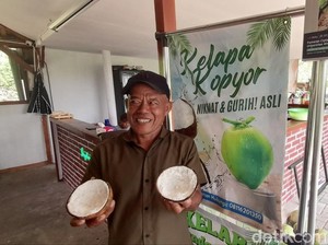 Segarnya Cuan Kelapa Kopyor di Bantul, Sebulan Omzet Belasan Juta Rupiah