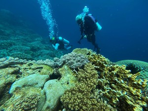 Peringkat Indeks Kesehatan Laut RI Naik, tapi....