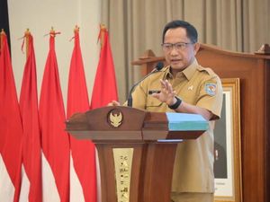Mendagri Tak Sangka Raih detikcom Awards, Cerita Upaya Kembangkan Ekonomi Daerah