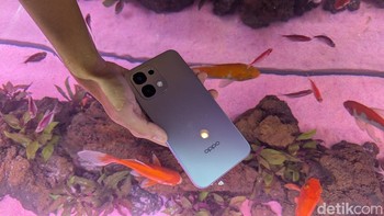 Oppo A6 Pro juga memiliki rating IP66/68/69 untuk ketahanan terhadap air dan debu. Ponsel ini bahkan tahan terhadap semprotan air hingga 85 derajat Celsius. Foto: Virgina Maulita Putri/detikINET