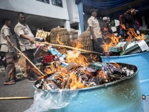 Puluhan Ribu Botol Miras dan Rokok Ilegal Dimusnahkan Kejari Semarang