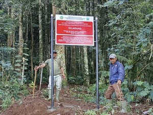 Viral Tanda Dilarang Masuk Kawasan TN di Jalur Curug Sudin Sukabumi, Ada Apa?