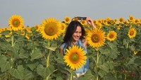 Mulai dari keluarga, suami, sahabat selebritas ramai-ramai memberikan ucapannya. Foto: dok instagram Pevita Pearce