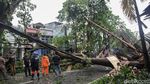 Pohon Tumbang di Jombang Tangsel Imbas Hujan Angin