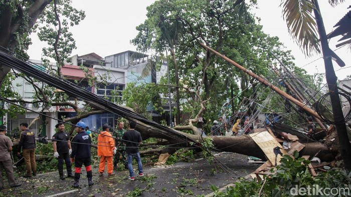 Petugas gabungan menebang pohon yang tumbang di Jalan Jombang Raya, Pondok Aren, Tangsel, Selasa (7/10/2025). Pohon besar yang tumbang disebabkan hujan disertai angin kencang siang ini.