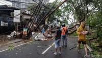 Hujan deras di Tangsel siang ini juga mengakibatkan pohon tumbang di sejumlah titik.