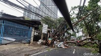 Pohon tumbang menutup akses jalan, baik yang menuju Emerald Bintaro maupun Bintaro Jaya Sektor IX.