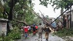 Pohon Tumbang di Jombang Tangsel Imbas Hujan Angin