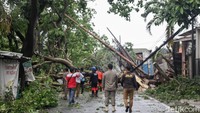 Tiang utilitas juga miring akibat pohon tumbang.