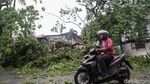 Pohon Tumbang di Jombang Tangsel Imbas Hujan Angin
