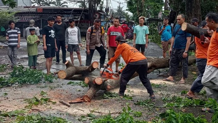 Pohon tumbang imbas hujan deras disertai angin kencang terjadi di wilayah Limo, Depok, Jawa Barat. Lalu lintas (lalin) di sekitar lokasi macet. (dok Polres Depok)