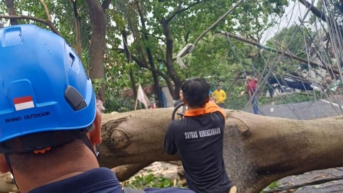 Pohon tumbang timpa warung di Bintaro, Tangsel hingga kabel menjuntai dan semrawut, Selasa (7/10/2025).