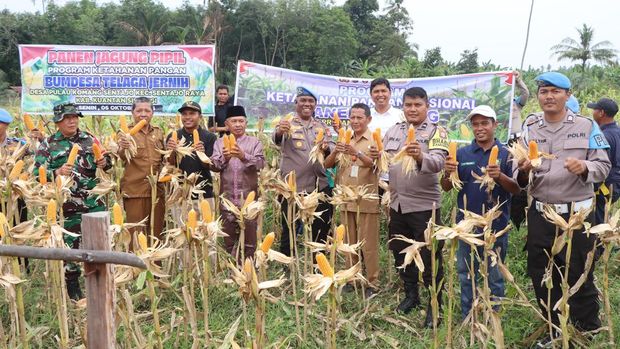 Polres Kuansing memanen jagung di Sentajo Raya, Senin (6/10/2025).