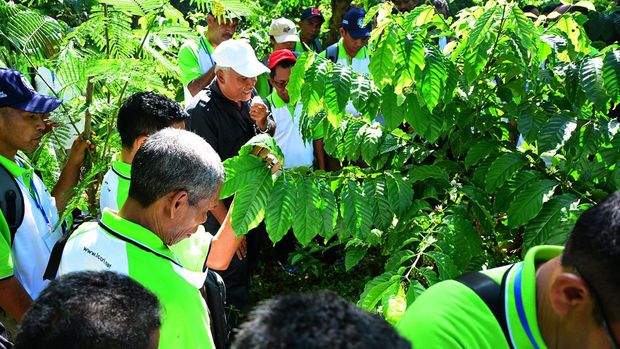 Pusat Penelitian Kopi dan Kakao Indonesia (Puslitkoka)