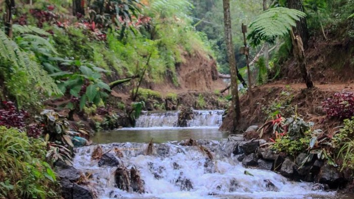 Suasana Kebon Rojo Camp