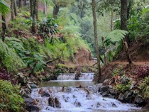 Prakiraan Cuaca Wisata di Jawa Timur Sabtu 18 Agustus 2025