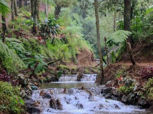 Cuaca di Lokasi Wisata Jatim 9 November 2025, Waspada Hujan