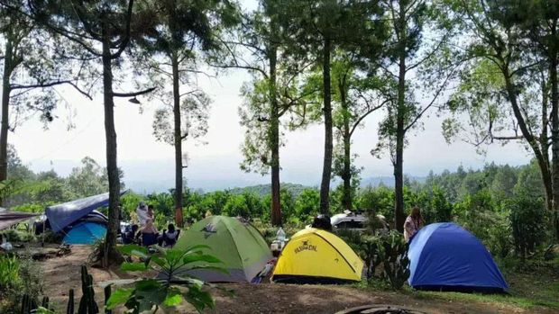 Suasana Kebon Rojo Camp