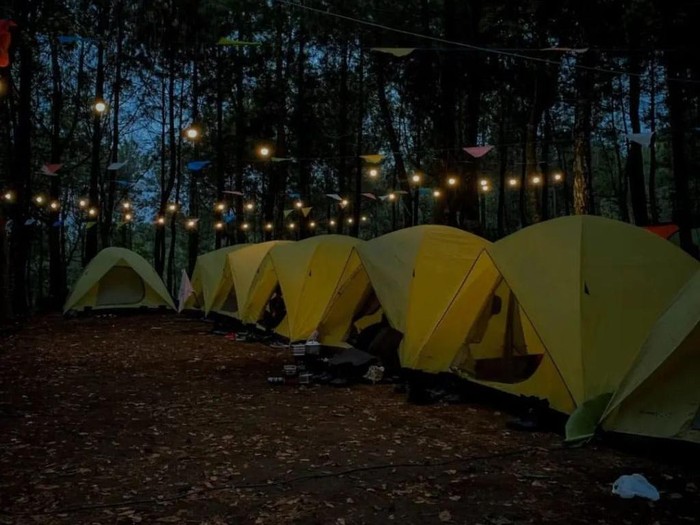 Suasana Kebon Rojo Camp