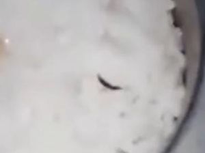 Ada Ulat di Nasi MBG SMPN 2 Bogor, SPPG Beri Penjelasan