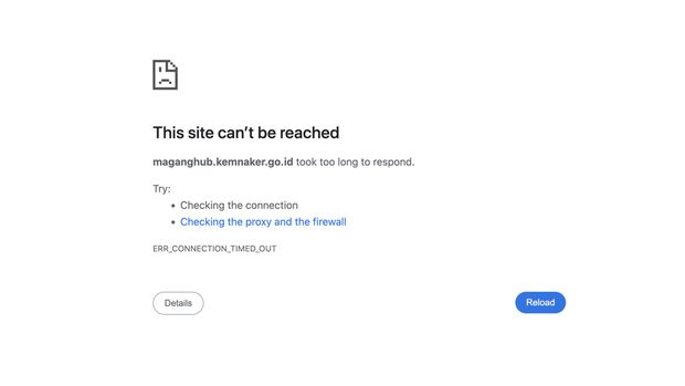 Website server maganghub.kemnaker.go.id mengalami gangguan. (Tangkapan Layar kemnaker)