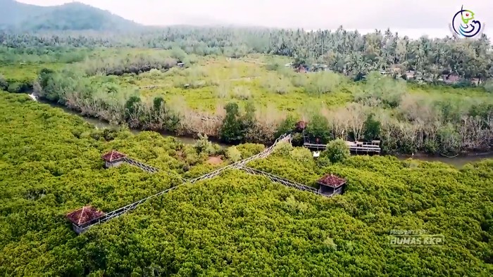 Wisata Mangrove Pancer Cengkrong Trenggalek