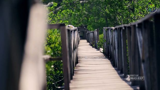 Wisata Mangrove Pancer Cengkrong Trenggalek