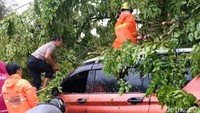 Pepohonan yang tumbang merusak 5 sepeda motor, 1 mobil dan 2 warung.
