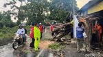 Puluhan Rumah di Mojokerto Rusak Diterjang Angin Kencang