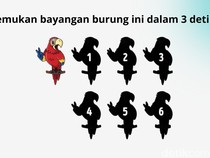 Berhasil Temukan Bayangan Benar Dalam Hitungan Detik? Tandanya Kamu Punya IQ Tinggi