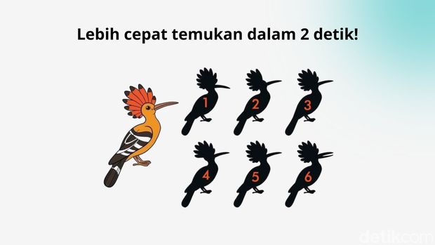 asah otak