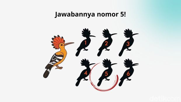 asah otak