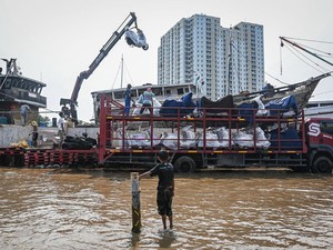 Tanggul Mitigasi Dibangun di Muara Angke Antisipasi Banjir Rob 1-10 Desember