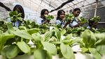 Dolan Kebun, Cara Seru Siswa Semarang Belajar Pertanian Sejak Dini