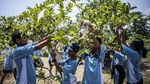 Dolan Kebun, Cara Seru Siswa Semarang Belajar Pertanian Sejak Dini